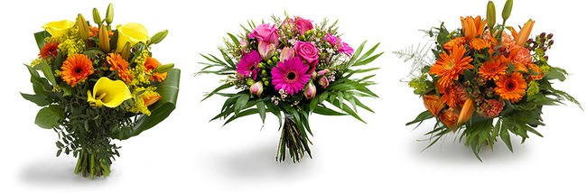 Eksempler på blomster der kan sendes til udlandet